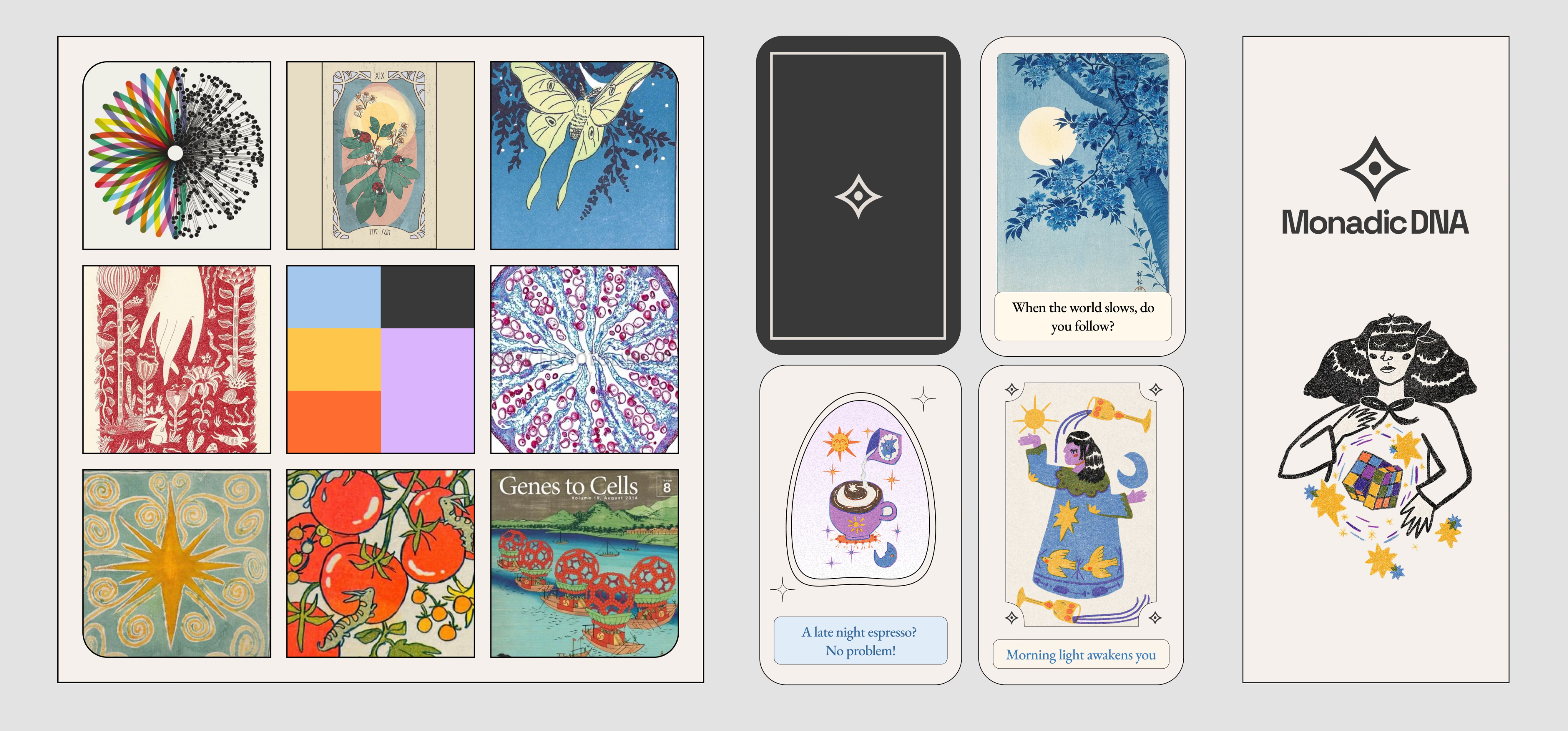 From left to right: moodboard, insight card UI examples, and an illustration representing the app’s visual tone. Branding, logo, and graphic assets by me. App illustrations by the talented @celia.b.studio